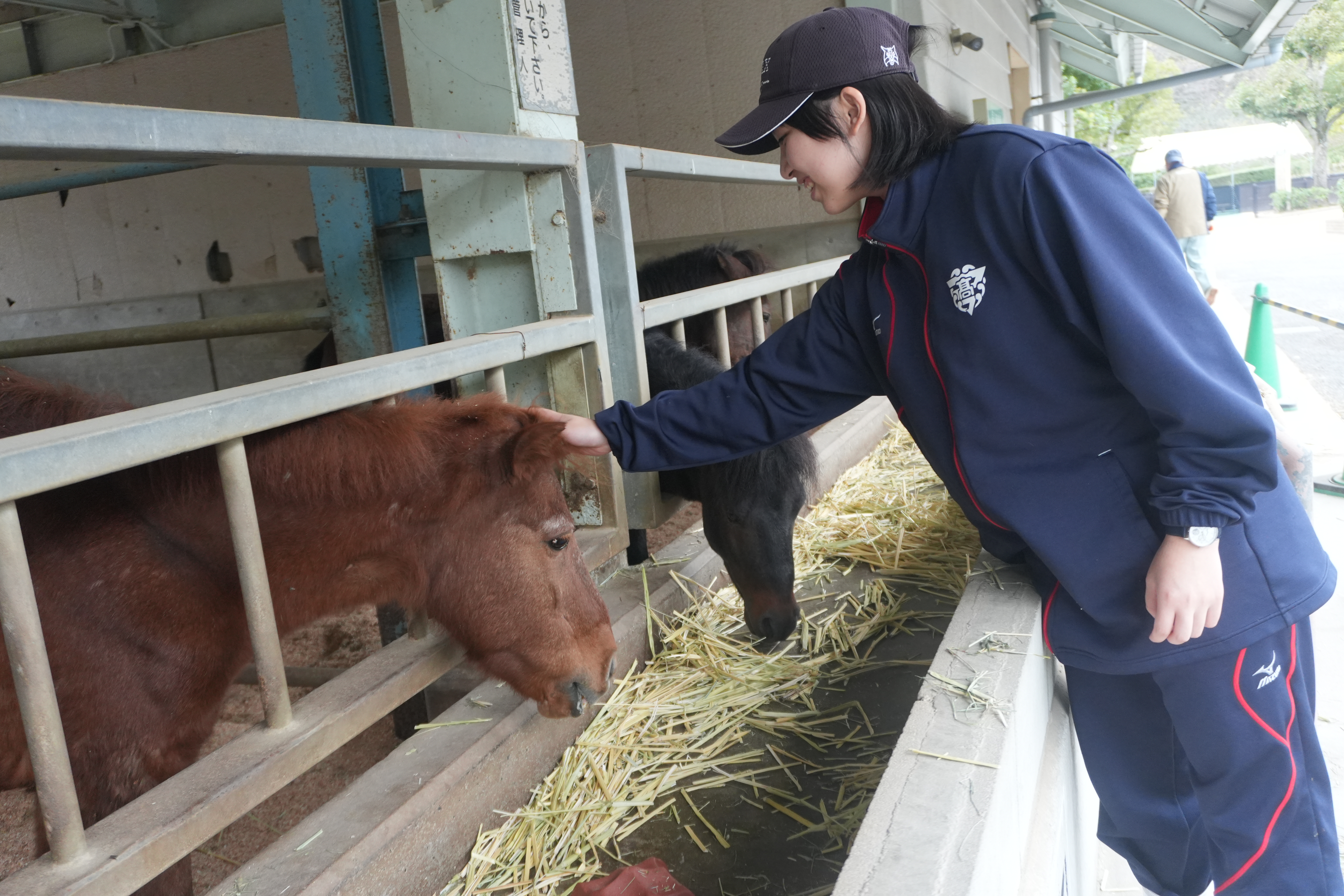 のまうまハイランド (5)