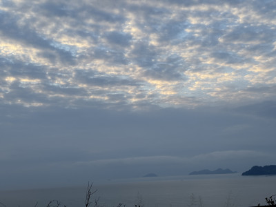 20260205_221820509_iOS