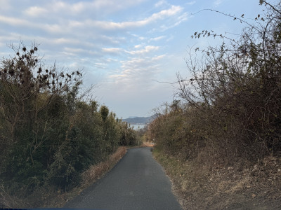 20260205_222319819_iOS