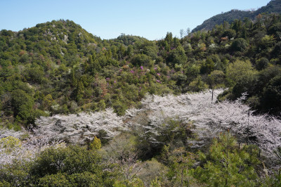 DSC05681