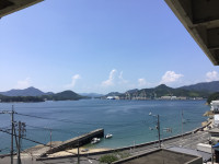 IMG_0282