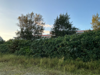 IMG_0159